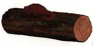 Bild 61 von 75  -  13 kB